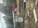 IMG_8564.jpeg