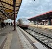 IMG_9798.jpeg