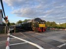 IMG_6540.jpeg