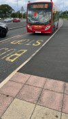IMG_7329.jpeg