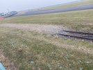 IMG_1620.jpeg