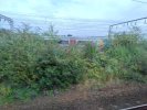 IMG_20240819_160746423_BURST024.jpg