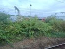 IMG_20240819_160746423_BURST027.jpg