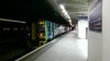 IMAG0133.jpg