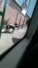 IMAG0235.jpg