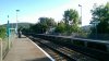 IMAG0286.jpg