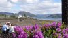 224. Plockton. This picture IS real.jpg