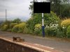 Station.jpg