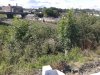 20140818_095430.jpg