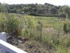 20140818_095438.jpg