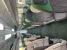 IMG_9591.jpeg
