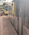 IMG_8984.jpeg