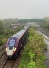 IMG_7076.jpeg