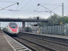 IMG_9136.jpeg
