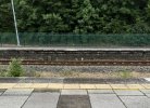 IMG_3184.jpeg