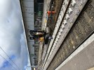 IMG_8327.jpeg