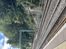 IMG_8328.jpeg