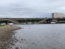 IMG_9031.jpeg