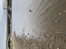 IMG_9030.jpeg