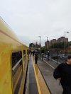 PXL_20240915_092319890.MP.jpg