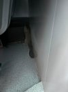 IMG_9785.jpeg