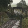 Fallen tree at Beattock.jpg