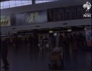 IMG_5688.jpeg