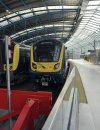 IMG_6380.jpeg