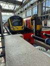IMG_6381.jpeg