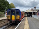 IMG_5235.jpeg