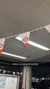 IMG_B4AEAEE2DD34-1.jpeg