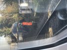 IMG_9960.jpeg