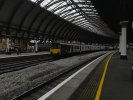 IMG_20241204_133233433.jpg