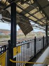 IMG_2015.jpeg