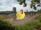 Melon Usk Pysogg.jpg