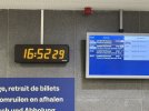 IMG_1064.jpeg