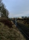 IMG_3646.jpeg