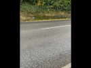 IMG_4546.png