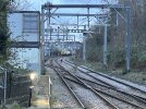 IMG_5997.jpeg