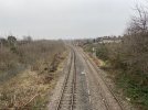 IMG_8620.jpeg