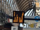 IMG_2464.jpeg