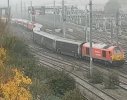 IMG_7900.jpeg