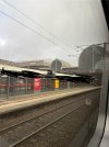 IMG_2518.jpeg
