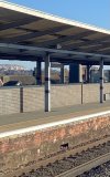 IMG_6847.jpeg