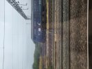 20240902_104606.jpg