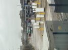 IMG_7004.jpeg