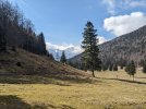 PXL_20240320_124401840.jpg