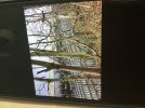IMG_6925.jpeg