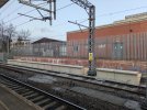 PXL_20250310_173440881.jpg