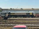 IMG_1002.jpeg